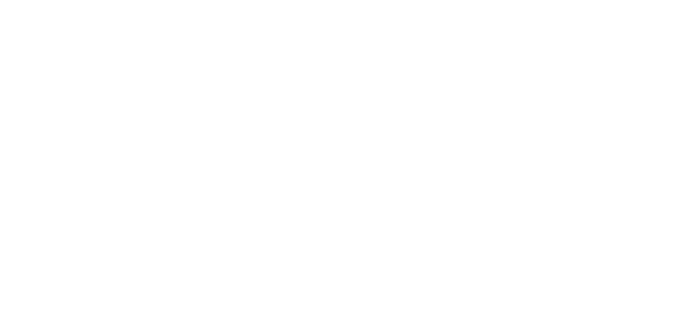 FEM